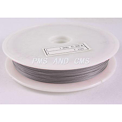 Raw Tiger Tail Wire, Nylon-coated Stainless Steel, Original Color(Raw), Raw, 0.3mm, about 229.65 Feet(70m)/roll