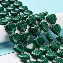 Malachite Perles synthétiques malachite brins, avec des perles de rocaille, cœur, 14~15x15x6~6.5mm, Trou: 1.4mm, Environ 23~24 pcs/chapelet, 14.57'' (37 cm)