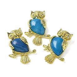 Полосатый Агат Подвески из натуральной стали с синими полосками агата (окрашенные и нагретые), латунные совьи амулеты, золотые, стойки покрытие, без кадмия и без свинца, 36.5x26.5x7.5 мм, отверстие : 6.5x4.5 мм