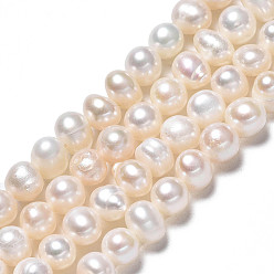 Seashell Color Natural Cultured Freshwater Pearl Beads Strands, Potato, Seashell Color, 4~5.5x5.5~7x4.5~5.5mm, Hole: 0.7mm, about 62~63pcs/strand, 13.70 inch~13.94 inch(34.8cm~35.4cm)