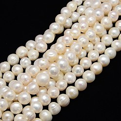 Creamy White Natural Cultured Freshwater Pearl Beads Strands, Potato, Creamy White, 11~12mm, Hole: 0.8mm, about 35pcs/strand, 13.77 inch~14.17 inch