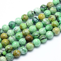 Natural Gemstone Natural Variscite Beads Strands, Round, 10~10.5mm, Hole: 1mm, about 38pcs/strand, 15.75 inch(40cm)