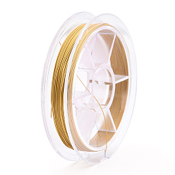 Golden Tiger Tail Wire, Stainless Steel Wire, Round, Golden, 0.3mm, about 32.81 Feet(10m)/Set