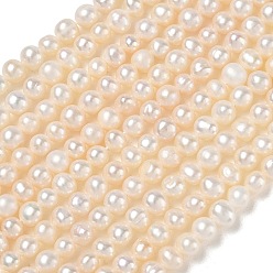 Beige Brins de perles de culture d'eau douce naturelles, Note 3 un, pomme de terre, beige, 4.8~5.2mm, Trou: 0.5mm, Environ 78~79 pcs/chapelet, 13.78~13.86'' (35~35.2 cm)