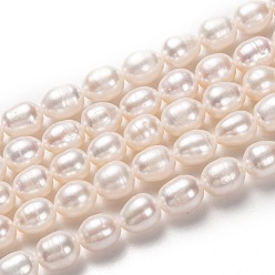 Bisque Natural Cultured Freshwater Pearl Beads Strands, Rice, Bisque, 9x8mm, Hole: 0.8mm, about 41pcs/strand, 14.96 inch(38cm)
