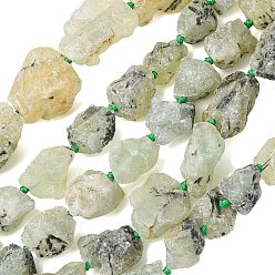 Пренит Необработанные грубые натуральные пренитовые бусины, самородки, 18~50x16~30x14~30 мм, отверстие : 1.2 мм, около 11~20 шт / нитка, 15.75'' (40 см)