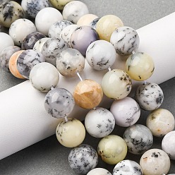 White African Opal Natural Pink Opal Beads Strands, Round, 12mm, Hole: 1mm, about 34pcs/strand, 15.35''(39cm)
