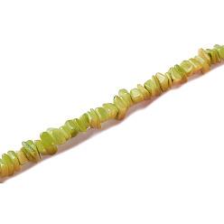 Светло-зеленый Коричневый Естественных пресноводных оболочки бисер нитей, чип, окрашенные, оливковый, 6~16x4~8x1~7 мм, отверстие : 1 мм, около 97~157 шт / нитка, 15.75 дюйм (40 см)