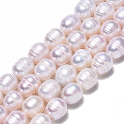 Seashell Color Natural Cultured Freshwater Pearl Beads Strands, Rice, Seashell Color, 10~12x9~10mm, Hole: 0.7mm, about 32~33pcs/strand, 13.39 inch(34cm)