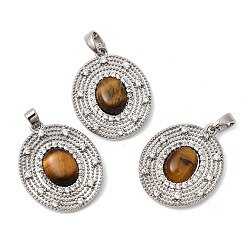 Платина Природных тигровый глаз подвески, Овальные подвески с латунными микропаве из прозрачных кубических цирконий., платина, 22.5~23x18.5x4~4.5 мм, отверстие : 3x4.7 мм