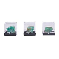 Amazonite Nuggets Natural Amazonite, Rough Raw Stone Home Display Decorations, with Packing Box, 13~34x5~27x5~27mm, 6pcs/box