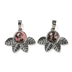Родонит Природные подвески родонит, стойки покрытие латунь лист прелести, платина, без кадмия и без свинца, 22x27x7 мм, отверстие : 8x5 мм