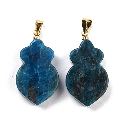 Apatite Natural Apatite Pendants, with Golden Brass Findings, Carrot, 29~30x17x6mm, Hole: 5mm