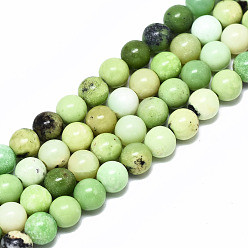 Serpentine Natural Serpentine Beads Strands, Round, 6mm, Hole: 1.2mm, about 59~61pcs/strand, 14.96 inch~15.75 inch(38~40cm)