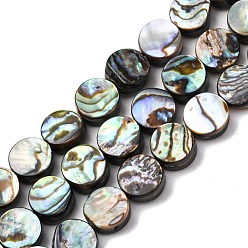 Разноцветный Природные пауа стеклянные бусы нити, плоско-круглые, красочный, 8x3.5 мм, отверстие : 1 мм, около 50 шт / нитка, 15.75 дюйм (40 см)