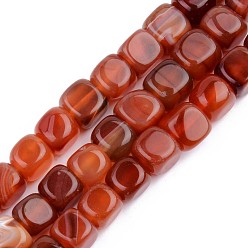 FireBrick Natural Carnelian Beads Strands, Dyed, Square, FireBrick, 7x7x7mm, Hole: 1mm, about 30pcs/strand, 14.17 inch(36cm)