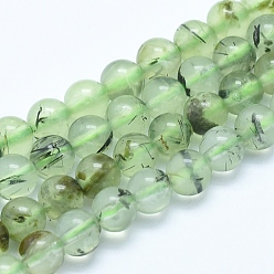 Prehnite Natural Prehnite Beads Strands, Round, 8mm, Hole: 1mm, about 50pcs/strand, 15.7 inch(40cm)