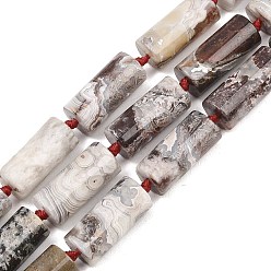 Сумасшедший Агат Натуральные мексиканские бусины из агата «Crazy Lace», колонка, 22~23x10~10.5 мм, отверстие : 1 мм, около 16 шт / нитка, 16.34'' (41.5 см)