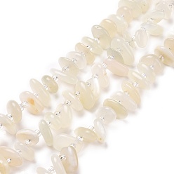 White Moonstone Natural White Moonstone Beads Strands, Chip, 5~18x3~9x2~5mm, Hole: 1mm, about 67~69pcs/strand, 15.55''(39.5~40cm)