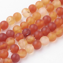 Carnelian Natural Carnelian Bead Strands, Round, Frosted, 6~6.5mm, Hole: 1mm, about 60pcs/strand, 14.9 inch(38cm)