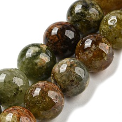 Garnet Natural Green Garnet Beads Strands, Andradite Beads, Round, 10mm, Hole: 1mm, about 39pcs/strand, 15.3 inch(39cm)