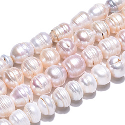 Seashell Color Natural Cultured Freshwater Pearl Beads Strands, Rice, Seashell Color, 6.5~14.5x10~12.5mm, Hole: 0.6mm, about 31~45 pcs/strand, 15.67~16.14 inch(39.8~41cm)