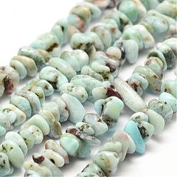 Larimar Larimar naturelles brins de perles, puce, 2~4x7~8mm, Trou: 1mm, 15.7 pouce (40 cm)