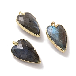 Labradorite Natural Labradorite Pendants, Faceted Heart Charms, with Golden Plated Brass Edge Loops, 22.5x13x7.5mm, Hole: 3mm