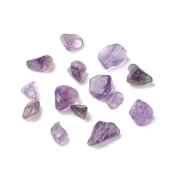 Amethyst Natural Amethyst Beads, No Hole/Undrilled, Chip, 5~13.5x4~6x3.5~4.5mm