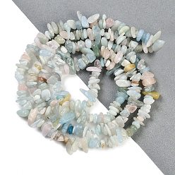 Морганит Природные морганит нитей бисера, чипсы, 5~8x5~8 мм, отверстие : 0.8 мм, 32'' (81.28 см)