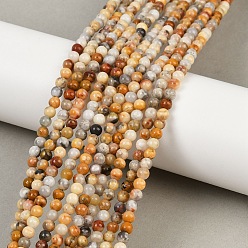 Сумасшедший Агат Натуральные сумасшедшие кружевные агатовые круглые бусины, 8 мм, отверстие : 1 мм, около 48 шт / нитка, 14.9 дюйм