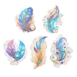 Colorful 5Pcs 5 Styles Feather Waterproof PET Stickers Sets, Adhesive Decals for DIY Scrapbooking, Photo Album Decoration, Colorful, 93~120x62~85x0.2mm, 1pc/style