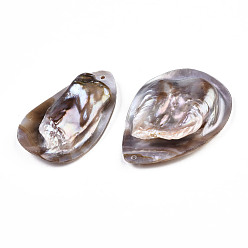 Freshwater Shell Natural Freshwater Shell, Teardrop, 54~60x34~45x10~20mm, Hole: 1.8mm