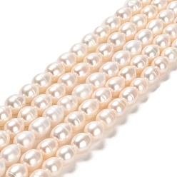 Linen Natural Cultured Freshwater Pearl Beads Strands, Rice, Grade 2A, Linen, 7~8x7mm, Hole: 0.7mm, about 41~42pcs/strand, 14.17~14.37 inch(36~36.5cm)