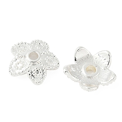 Посеребрённый Шапочки и конусы для бусин, латунные, 5-лепестков цветка, 925 серебро покрытием, 8x8.5x2.5 мм, отверстие : 1.4 мм