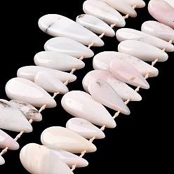 Pink Opal Natural Pink Opal Beads Strands, Top Drilled, Teardrop Charms, 18~41.5x7.5~16.5x5~7.5mm, Hole: 0.8mm, about 29pcs/strand, 14.57''~14.96''(37~38cm)