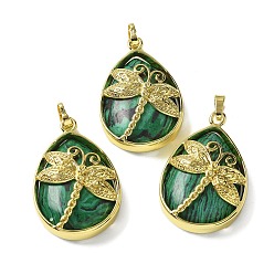 Малахит Синтетического малахита подвески, с фурнитурой латунной золотого тона, без свинца и без кадмия, слезинка с подвесками в виде стрекоз, 40~40.5x26~26.5x8.5~9.5 мм, отверстие : 7~8x4.5~5 мм