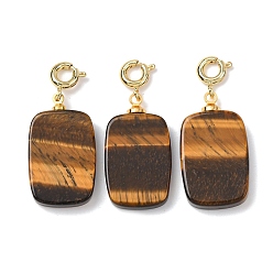 Тигровый глаз Украшения из натурального тигрового глаза, с латунными весной кольцевых застежками, золотые, прямоугольные, 30.5~31.5 мм
