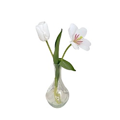 Clear Transparent Glass Vase for Flower, Home Decoration Desktop Hydroponic Plant Bottle, Clear, 170x90mm