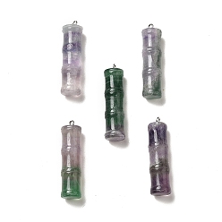 Fluorite Natural Fluorite Pendants, Bamboo Stick Charms, with Stainless Steel Color Tone 304 Stainless Steel Loops, 45x12.5mm, Hole: 2mm