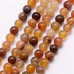 Pétrifié En Bois Pétrifiés bois brins de perles naturelles, ronde, 3~3.5mm, Trou: 0.7mm, Environ 115~125 pcs/chapelet, 16 pouce