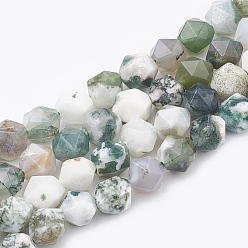 Tree Agate Natural Tree Agate Beads Strands, Star Cut Round Beads, Faceted, 8~10x7~8mm, Hole: 1mm, about 45~48pcs/strand, 14.2~14.6 inch