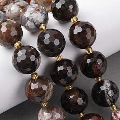 Деревянное Окаменение Природные окаменелое дерево бисер пряди, граненые, круглые, с бисером, 15~16 мм, отверстие : 1.4~1.6 мм, около 21 шт / нитка, 15.35~15.94 дюйм (39~40.5 см)