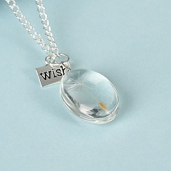 Oval Dandelion Wish Necklace, Resin Pendant Necklace with Alloy Chains, Oval, 19.69 inch(50cm)