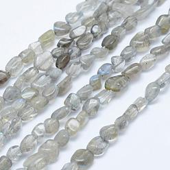 Labradorite Natural Labradorite Beads Strands, Tumbled Stone, Nuggets, 5x4mm, Hole: 1mm, 15.7 inch~15.9 inch(40~40.5cm)