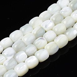 White Natural Trochid Shell/Trochus Beads Strands, Barrel, White, 8x7.5mm, Hole: 1mm, about 50pcs/strand, 15.75 inch(40cm)