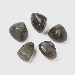 Labradorite Natural Labradorite Beads, Healing Stones, for Energy Balancing Meditation Therapy, Tumbled Stone, Vase Filler Gems, No Hole/Undrilled, Nuggets, 20~35x13~23x8~22mm