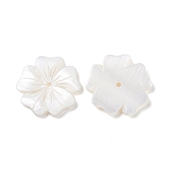 Seashell Color Natural White Shell Beads, Freshwater Shell Beads, Flower, Seashell Color, 23.5~24x24.3~25x2.3~2.8mm, Hole: 1.8mm