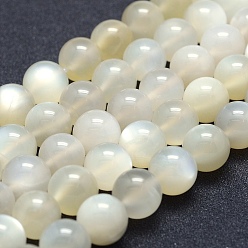 White Moonstone Natural White Moonstone Beads Strands, Grade AB+, Round, 12mm, Hole: 1mm, about 33pcs/strand, 15.1 inch(38.5cm)