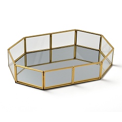 Clear Glass Tray Mirror, Storage Tray, with Golden Plated Brass Edge, Cosmetics Jewelry Organizer, Octagon, Clear, 21x14.1x4.1cm